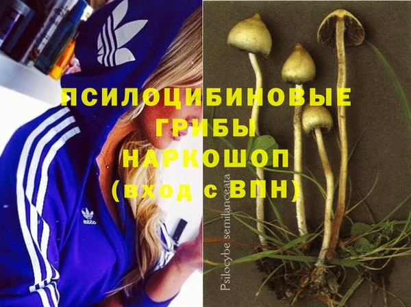 спайс Горно-Алтайск