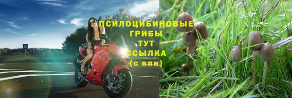 спайс Горно-Алтайск