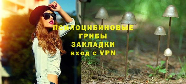 прущая мука Горняк