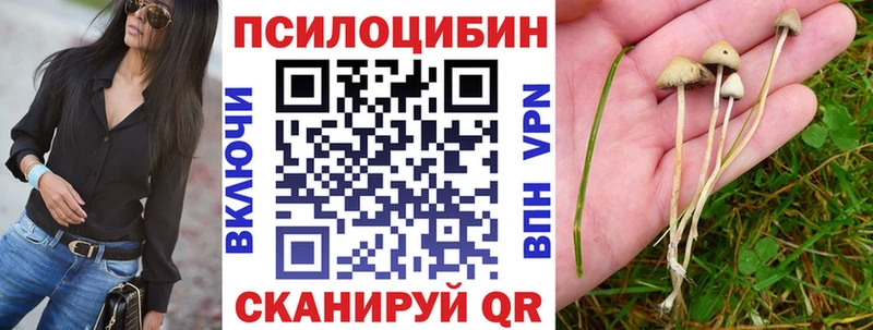 Галлюциногенные грибы GOLDEN TEACHER  Луховицы 